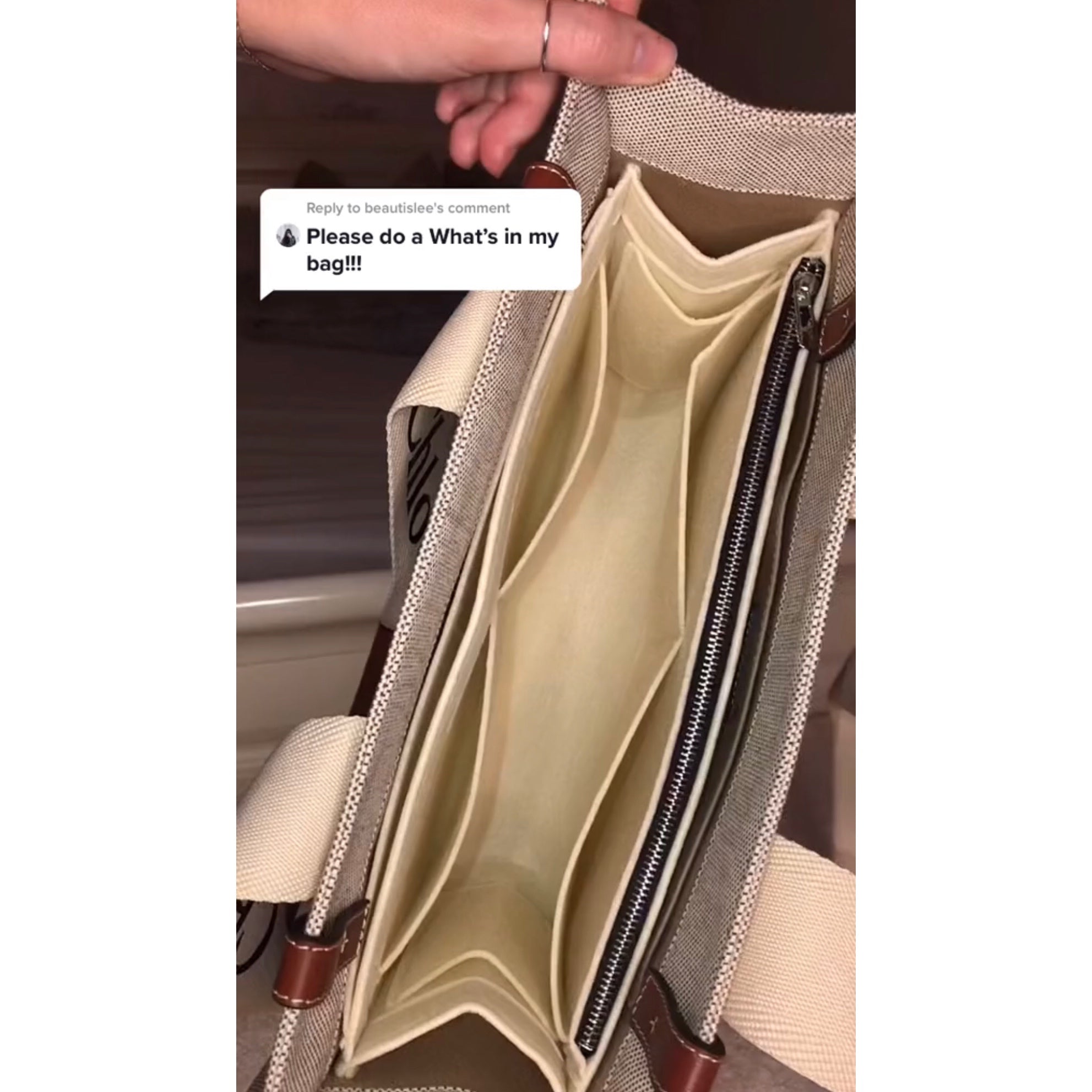 Dividetize® Organizer für Woody Tote