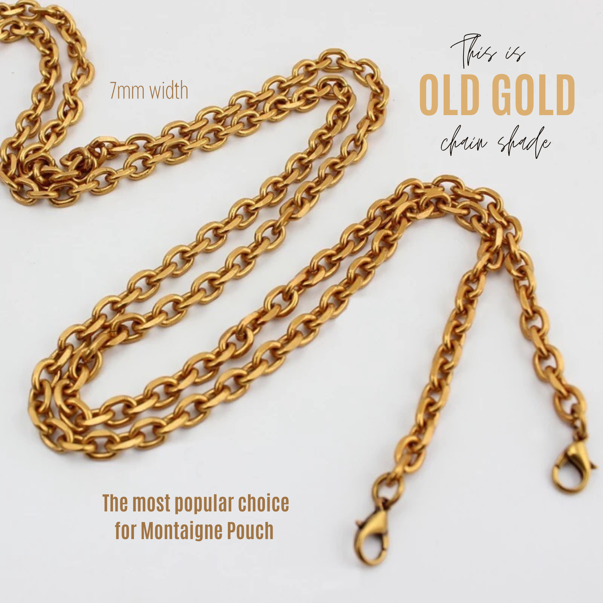 Pochette 30 Montaigne Conversion Kit with Full Coverage, Extended Clips & Chain